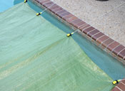 Pool Clip Pool Clip